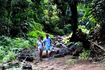 پانسیون Nature S Paradise At Marigot Bay