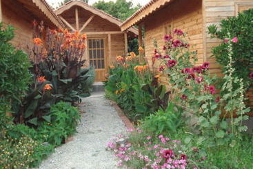 Bed and Breakfast Portakal Bahcesi