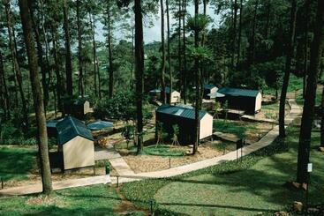 Bobocabin Pacet