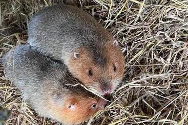 Отель Banana Place Resort