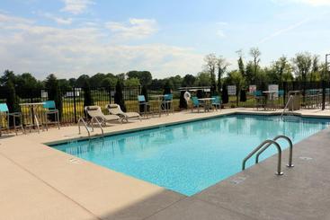 هتل Holiday Inn Express & Suites   Hendersonville Se   Flat Rock, An Ihg