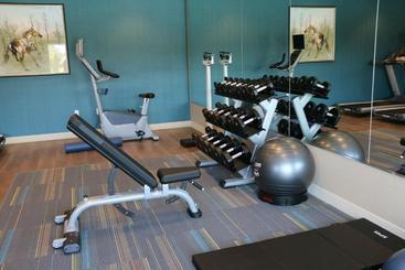 هتل Holiday Inn Express & Suites   Hendersonville Se   Flat Rock, An Ihg