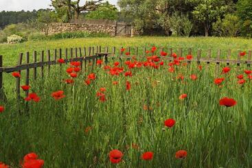 B&b Jardins De Vies