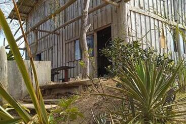 هاستل Vida Playera