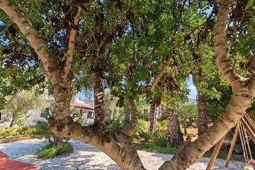 تختخواب و صبحانه Residence Il Carrubo