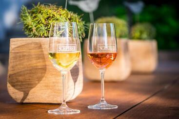 فندق Scheiber Wein & Gästehaus