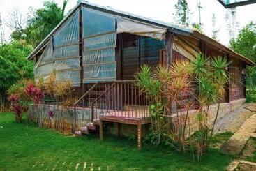 Divine Nature Homestay