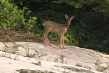 ベッドアンドブレックファースト Charmes De La Forêt