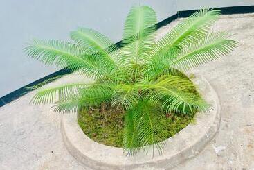 פנסיון Classic Visitors House