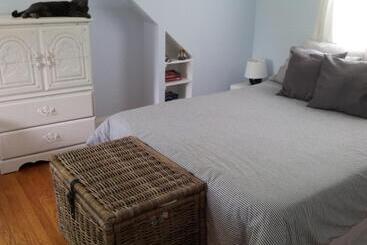 مبيت وإفطار European Guesthouse