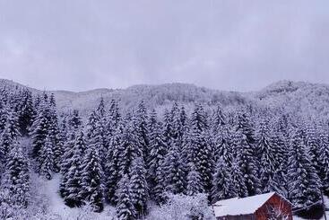 ペンション садиба квітка карпат