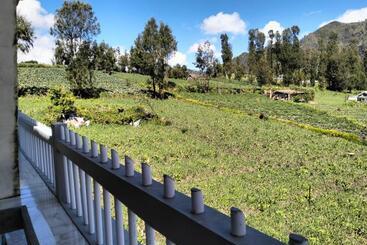 ペンション Bromo Seruni Astungkara Homestay