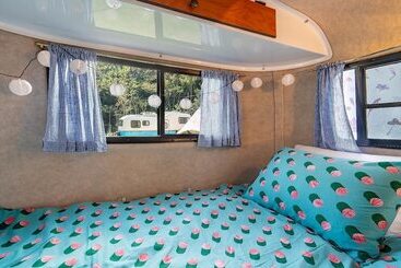 بنسيون Geumsan Lalaland Caravan