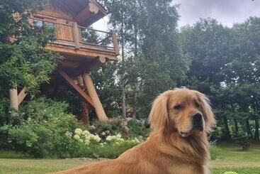 펜션 La Quiete Di Ileana Sofian