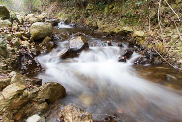 تختخواب و صبحانه Moulin Sainte Anne
