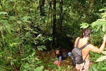 בית מלון כפרי Indra Valley Inn Bukit Lawang