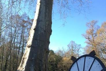 تختخواب و صبحانه Maison D'hôtes Moulin Saint Julien