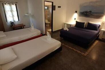 مسافرخانه Dreamer Palomino