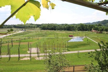 בית מלון כפרי Staribacher Sudsteiermark