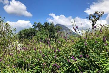 تختخواب و صبحانه Arenal Garden Lodge