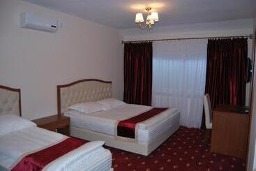 Hostel Paltinis