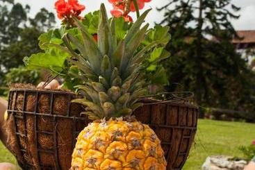 Matisses Hotel & Spa