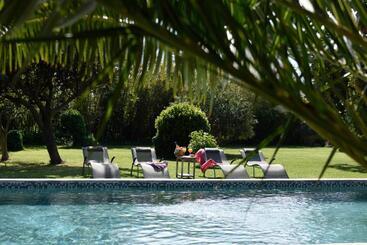 住宿加早餐  Mas De Bouvet En Camargue