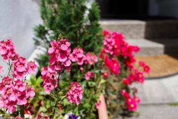 تختخواب و صبحانه Woodstock Guest House