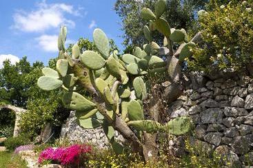 Masseria Trullo Sovrano Exclusive B&b