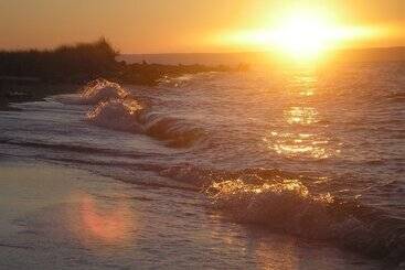 فندق صغير Rustic Woodland Lodge