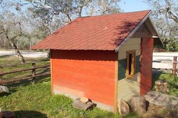 تختخواب و صبحانه Casa Degli Ulivi