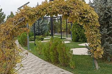 هتل Oasis Sun Club