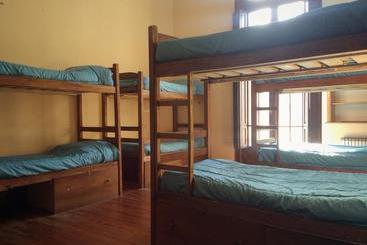 Ukelele Hostel