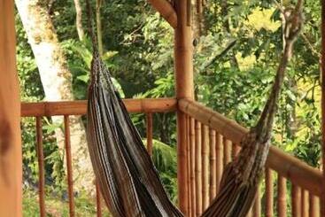 בית מלון כפרי Aracari Ecolodge
