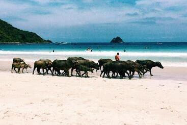 Szálloda Luana Lombok