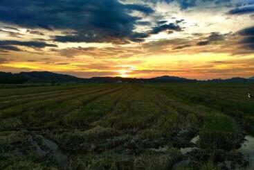 פנסיון Kawah Padi Garden Villa Langkawi