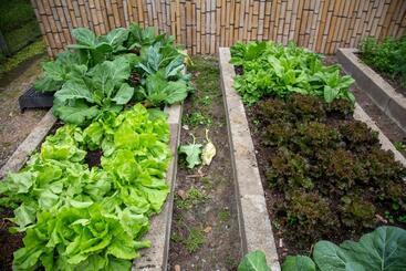 ユースホステル Pousada Vilarejo Do Quim