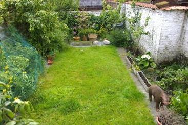 B&b Oostende