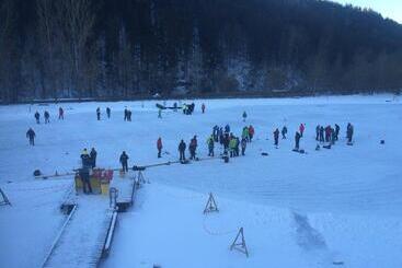 ホテル Seegasthof Breineder   Familien & Seminar