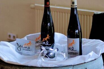 בית מלון כפרי Project June