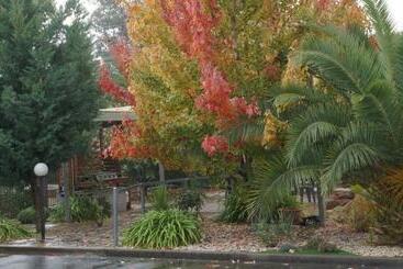 Golden Leaf Motel