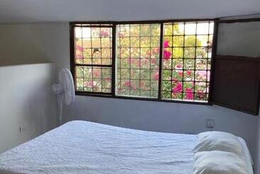 پانسیون Vegan