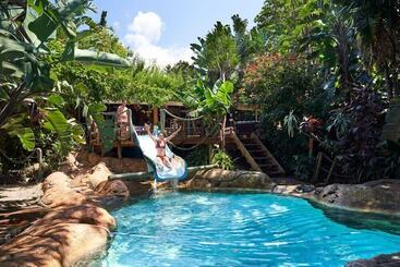Общежитие Mantis And Moon Surf Paradise & Adventure Lodge