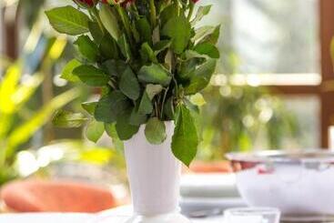 דירת נופש Villa Tatry Stola