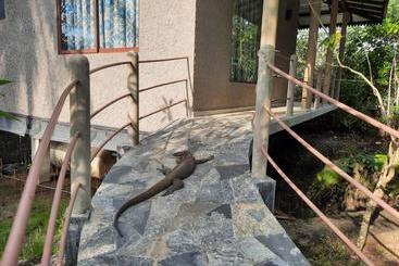 تختخواب و صبحانه Mass Eco Cabana Yoga & Spa   Unawatuna