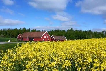 تختخواب و صبحانه Red Bird Farm