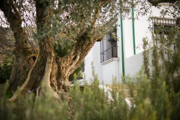 تختخواب و صبحانه Casa Olea Hotel Rural