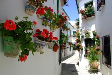 تختخواب و صبحانه Casa Olea Hotel Rural