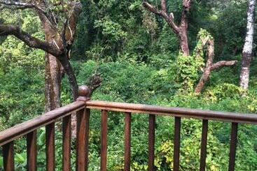 Bed and Breakfast Michele S Garden