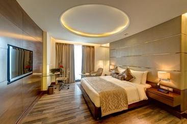 The Hotel Hindusthan International